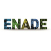 Logo ENADE